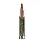 Kép 2/2 - 30-06 CX 180gr 11,7g Hornady Outfitter