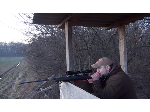 Januári rókavadászat, Nordik Mini csalisppal (HH_Hunting_Hungary)